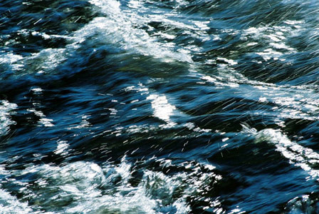 Silver Shoals Of Light