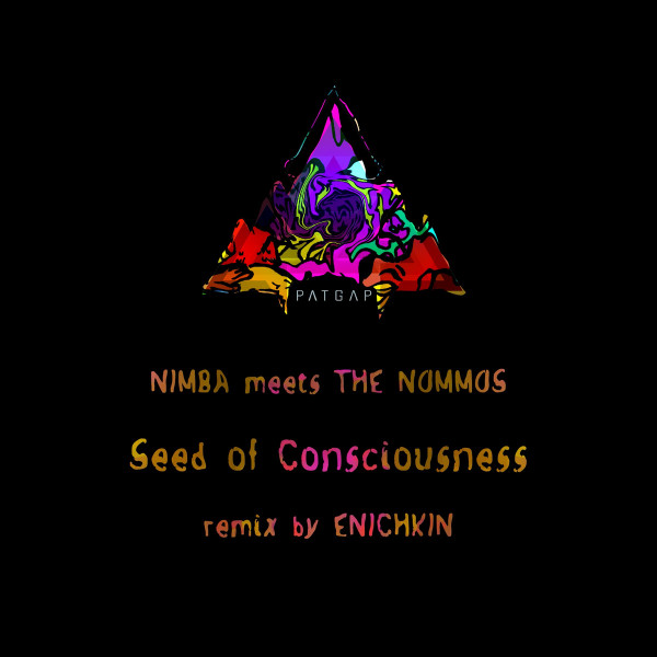 Seed Of Consciousness (Enichkin Remix)