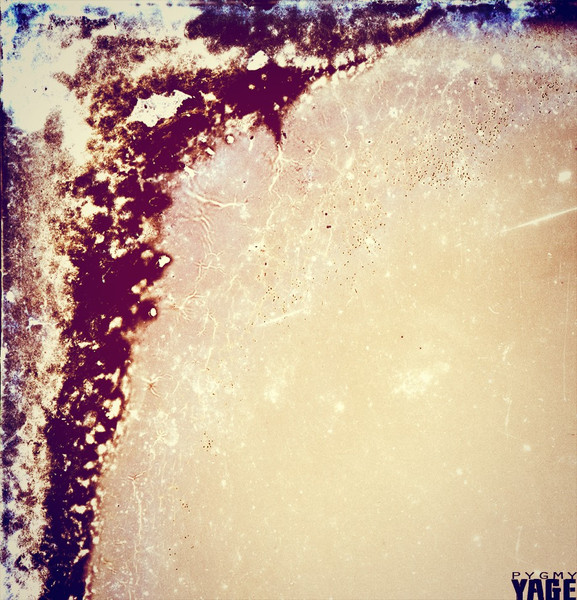 Pygmy EP