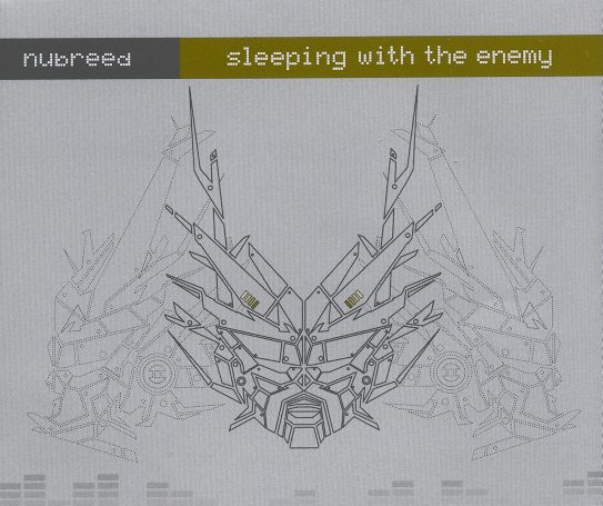 Sleeping With The Enemy