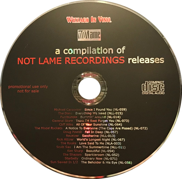 A Compilation Of Not Lame Recordings Releases