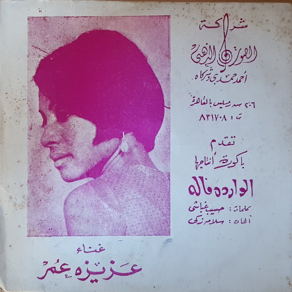 مبروكه (المينى حيب) \ الواد ده ماله