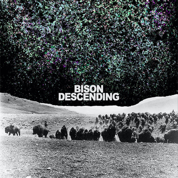 Bison Descending
