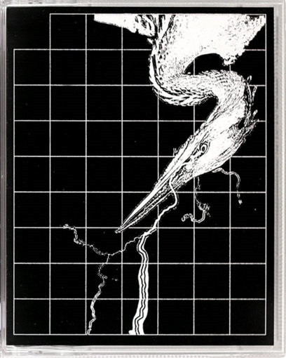 Ardea Cinerea