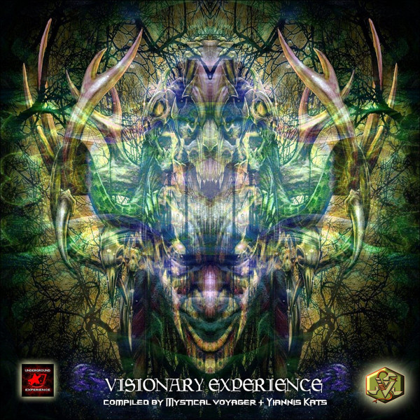 Visionary Experience