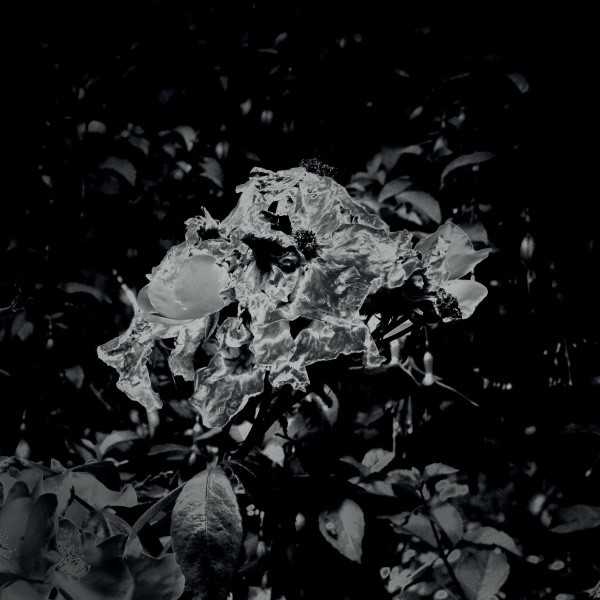 The Ghosts That Gave EP