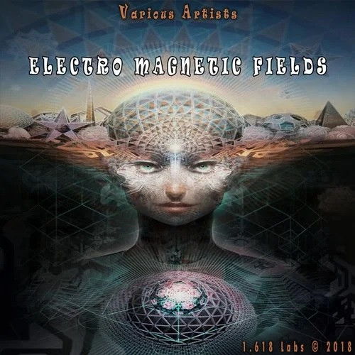 Electro Magnetic Fields