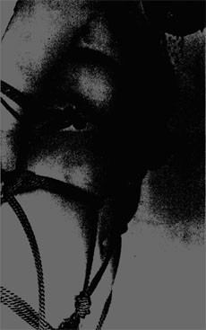 Chapter Nine