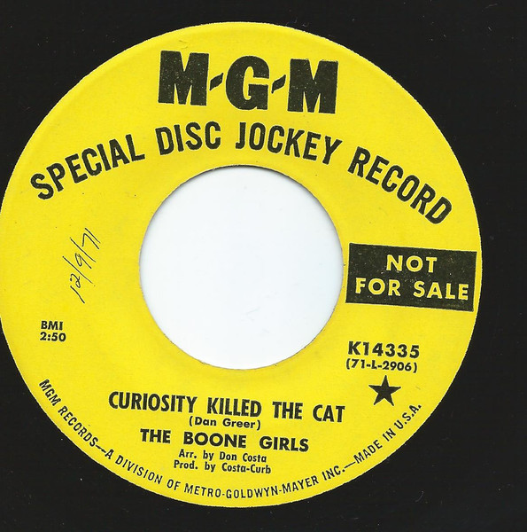 Curiosity Killed The Cat