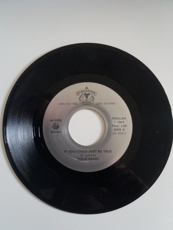 The Lady's Mine Alone / If You Could Just Be True
