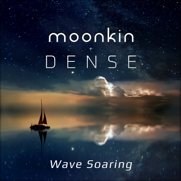 Wave Soaring