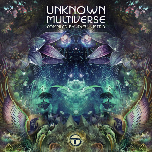 Unknown Multiverse