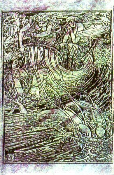 Along The Shallow Shores