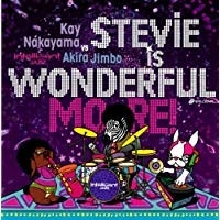 Stevie Is Wonderful More!