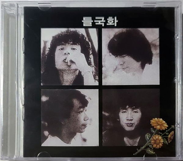 들국화