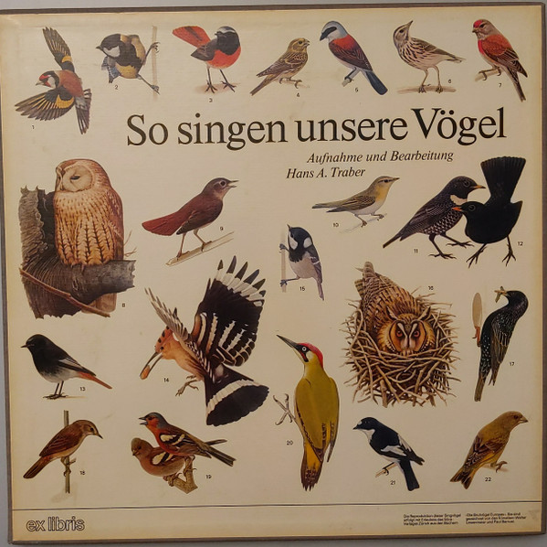 So Singen Unsere Vögel