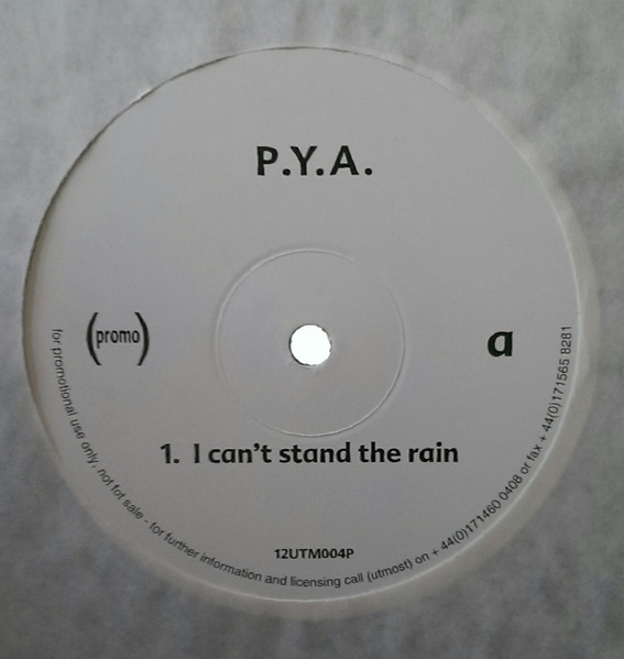 I Can't Stand The Rain