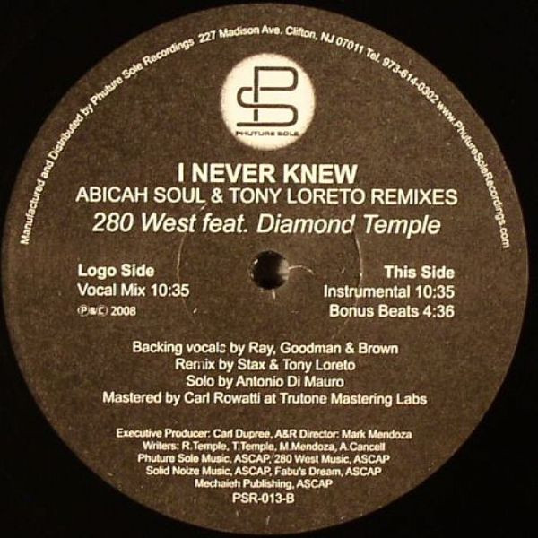 I Never Knew (Abicah Soul & Tony Loreto Remixes)
