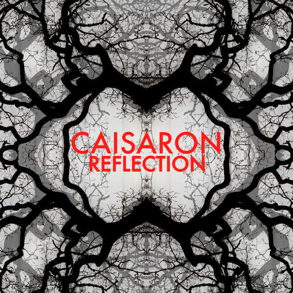 Reflection