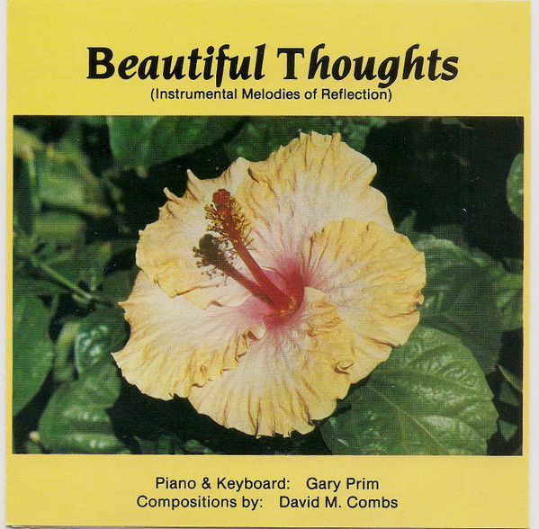 Beautiful Thoughts (Instrumental Melodies Of Reflection)