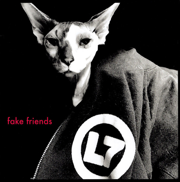 Fake Friends