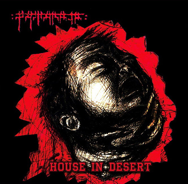 House In Desert