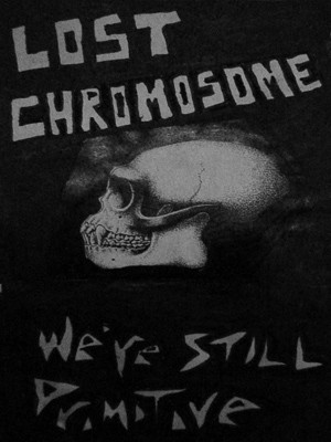 We're Still Primitive / Noize-A-Delic Accession