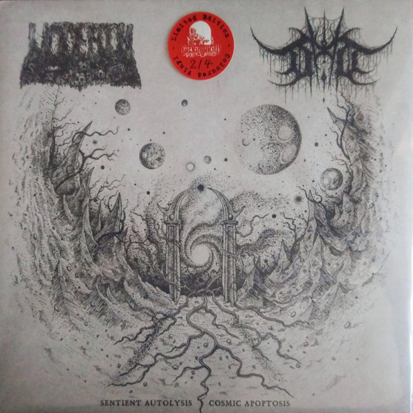 Sentient Autolysis / Cosmic Apotosis