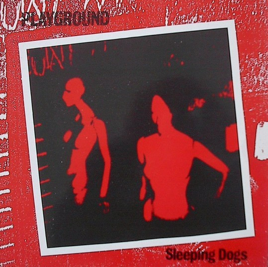 Sleeping Dogs