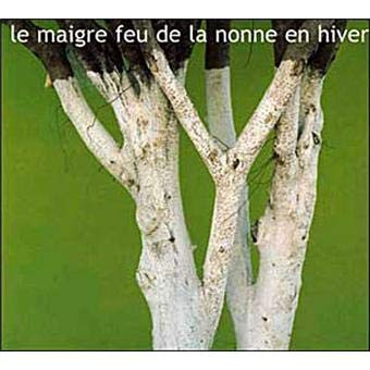 Le Maigre Feu De La Nonne En Hiver