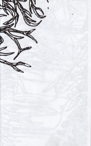 Winter Hallucinations: I
