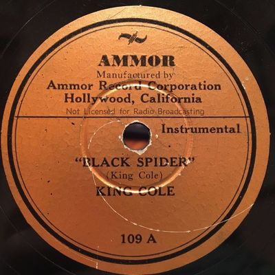 Black Spider / By The River Sainte Marie