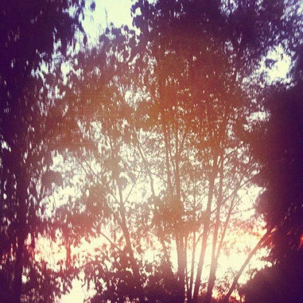 A Warm And Golden October