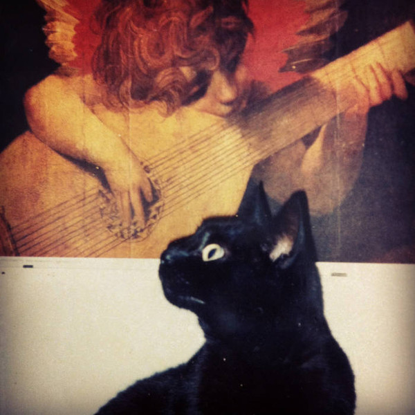 Arpeggi D'amore