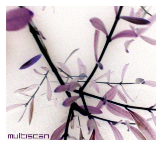 Multiscan