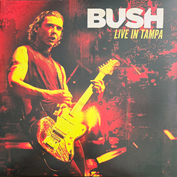 Live In Tampa