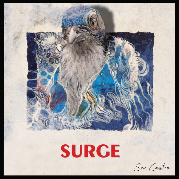 Surge