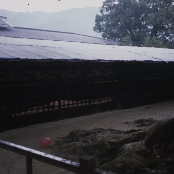 Boundary Layer 2