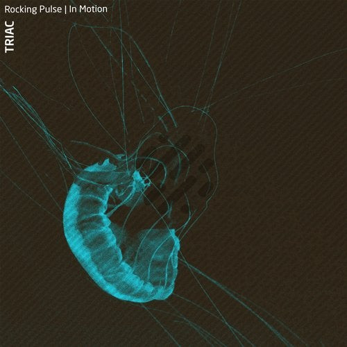 Rocking Pulse | In Motion