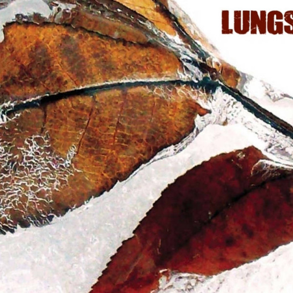 Lungs