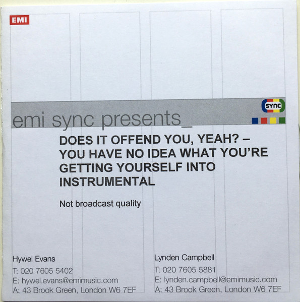 You Have No Idea What You Are Getting Yourself Into (Instrumentals)