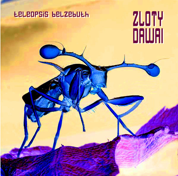 Teleopsis Belzebuth