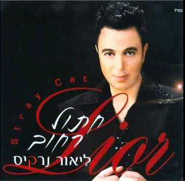 חתול רחוב