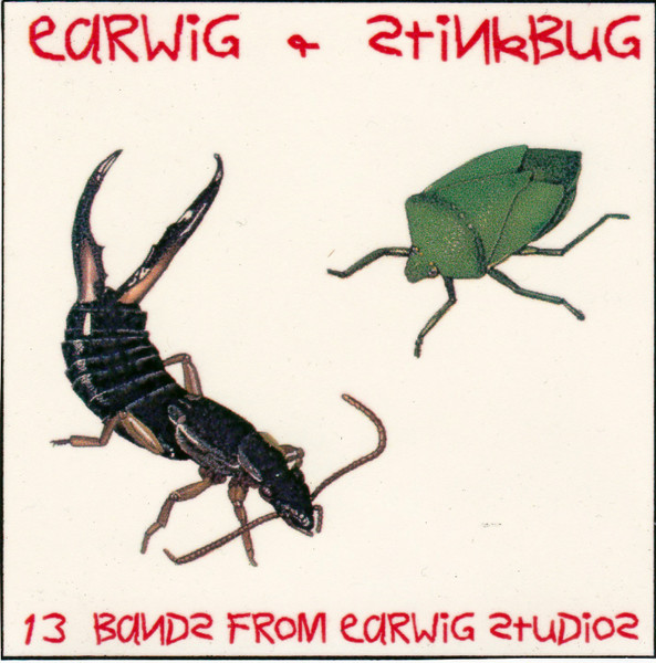 Earwig & Stinkbug