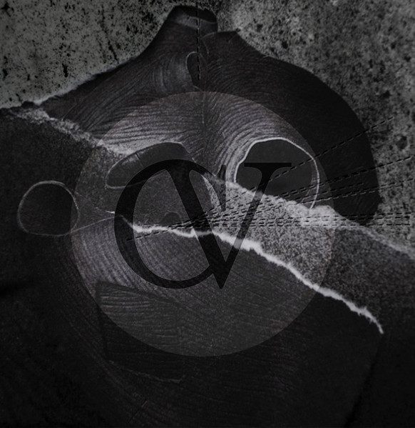 Culture Of Violence 02