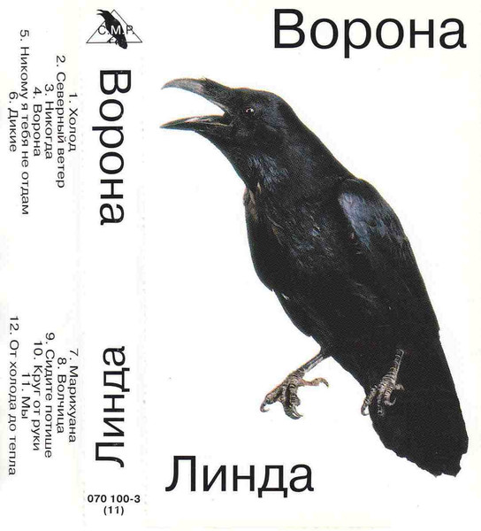 Ворона