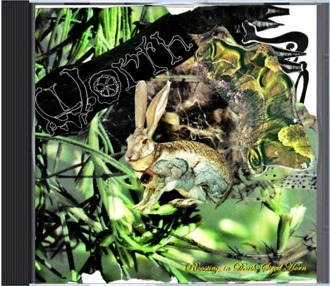 Roosting In Death-Sized Horn