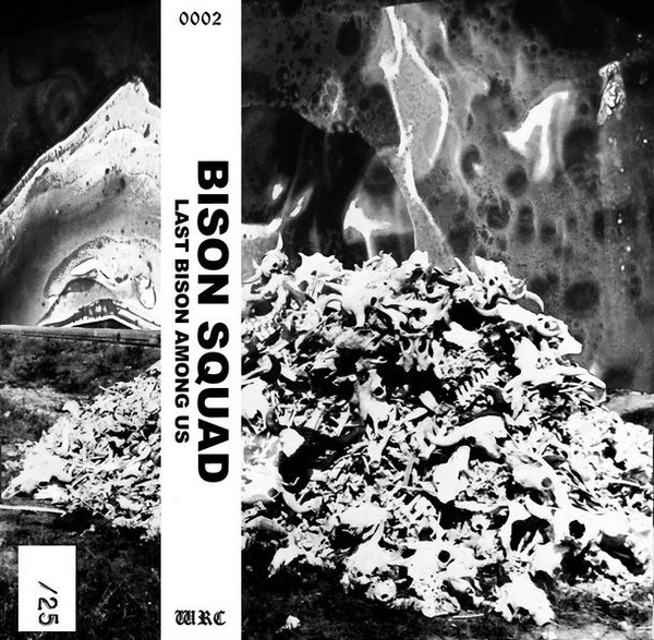 Last Bison Among Us