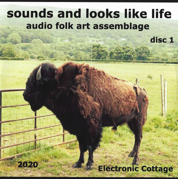 Sounds And Looks Like Life Audio Folk Art Assemblage