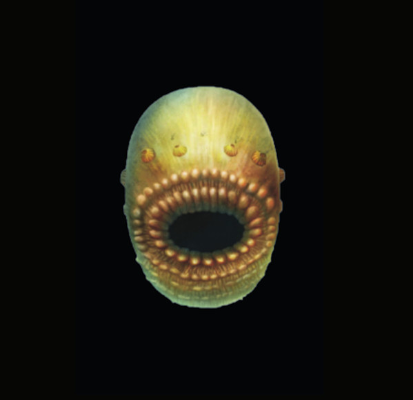 Glob Glob